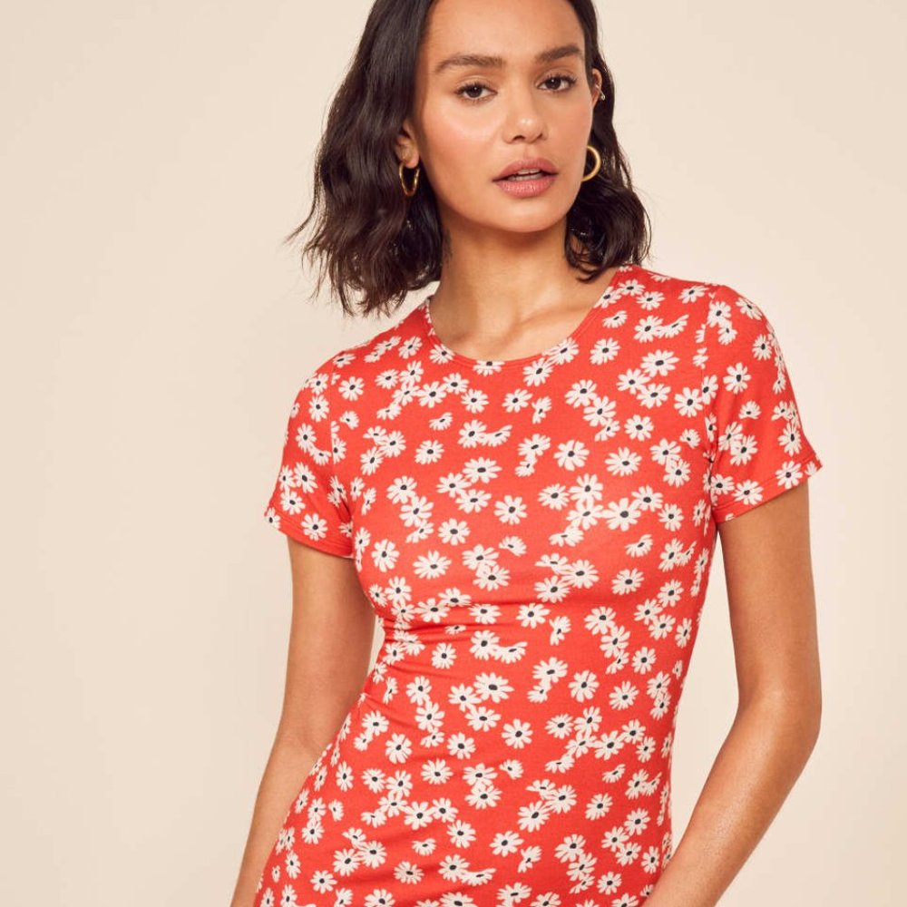 Reformation Inga Mini Dress Size M Oopsie Dais